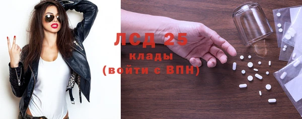 стаф Инта