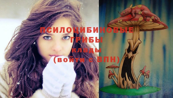 прущий лед Зеленодольск