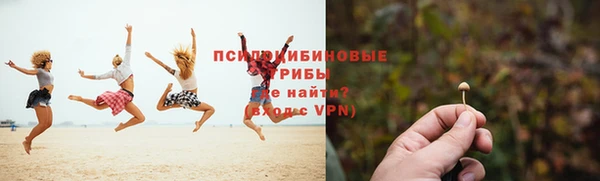 гидра Зеленокумск