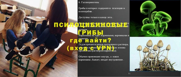 гидра Зеленокумск