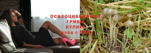 гидра Зеленокумск
