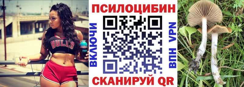 Псилоцибиновые грибы Psilocybe  Малоархангельск 